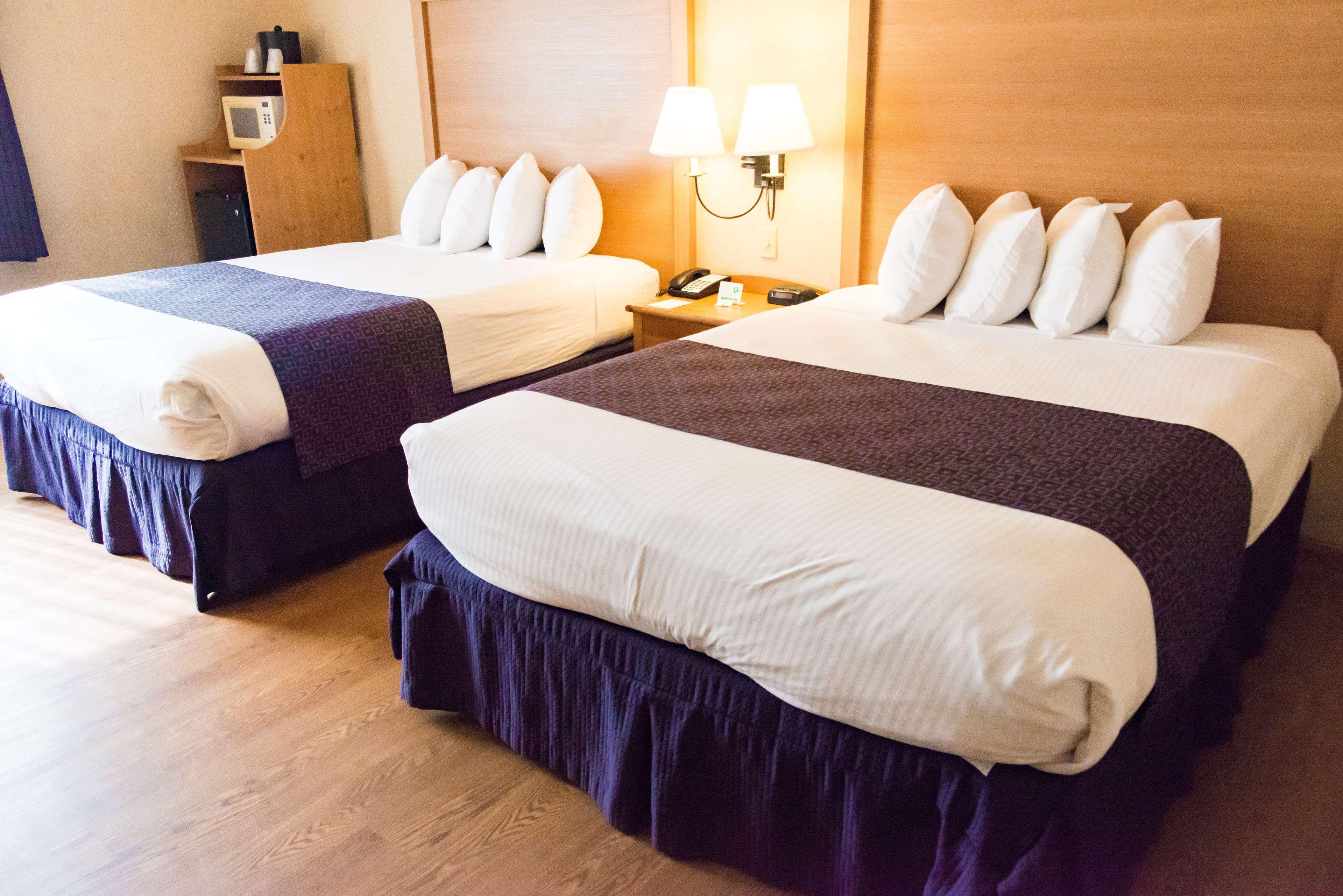 Best Western Plus Executive Court Inn & Conference Center Manchester Dış mekan fotoğraf