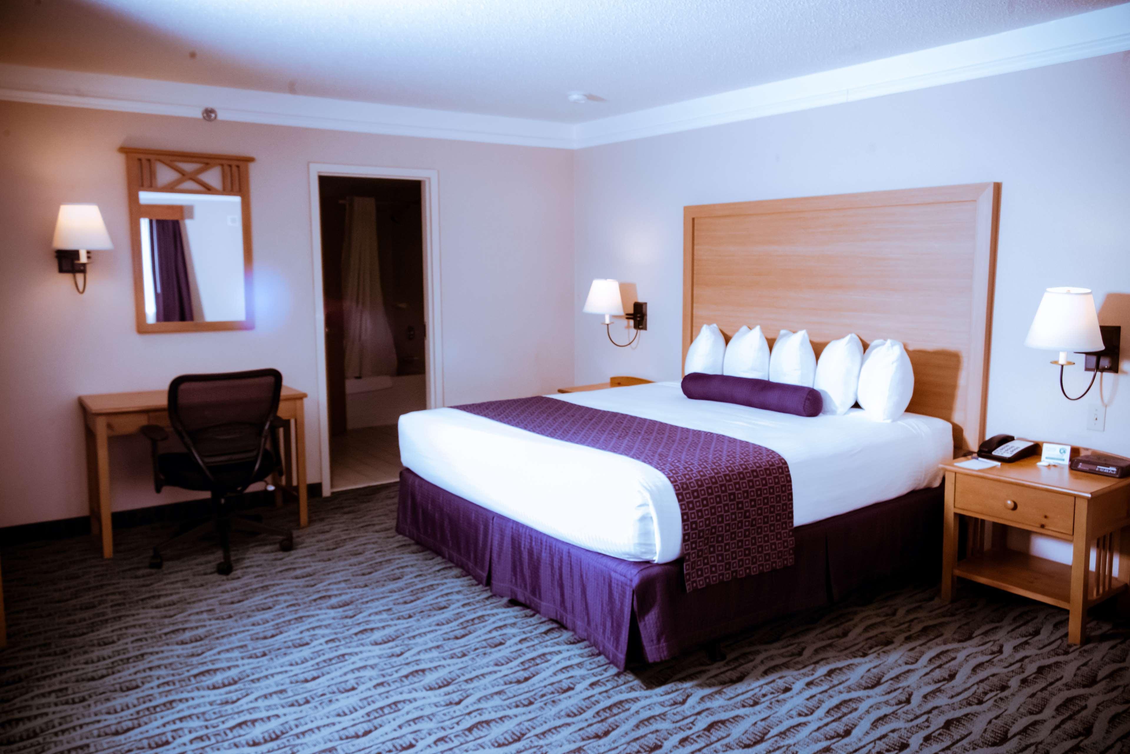 Best Western Plus Executive Court Inn & Conference Center Manchester Dış mekan fotoğraf